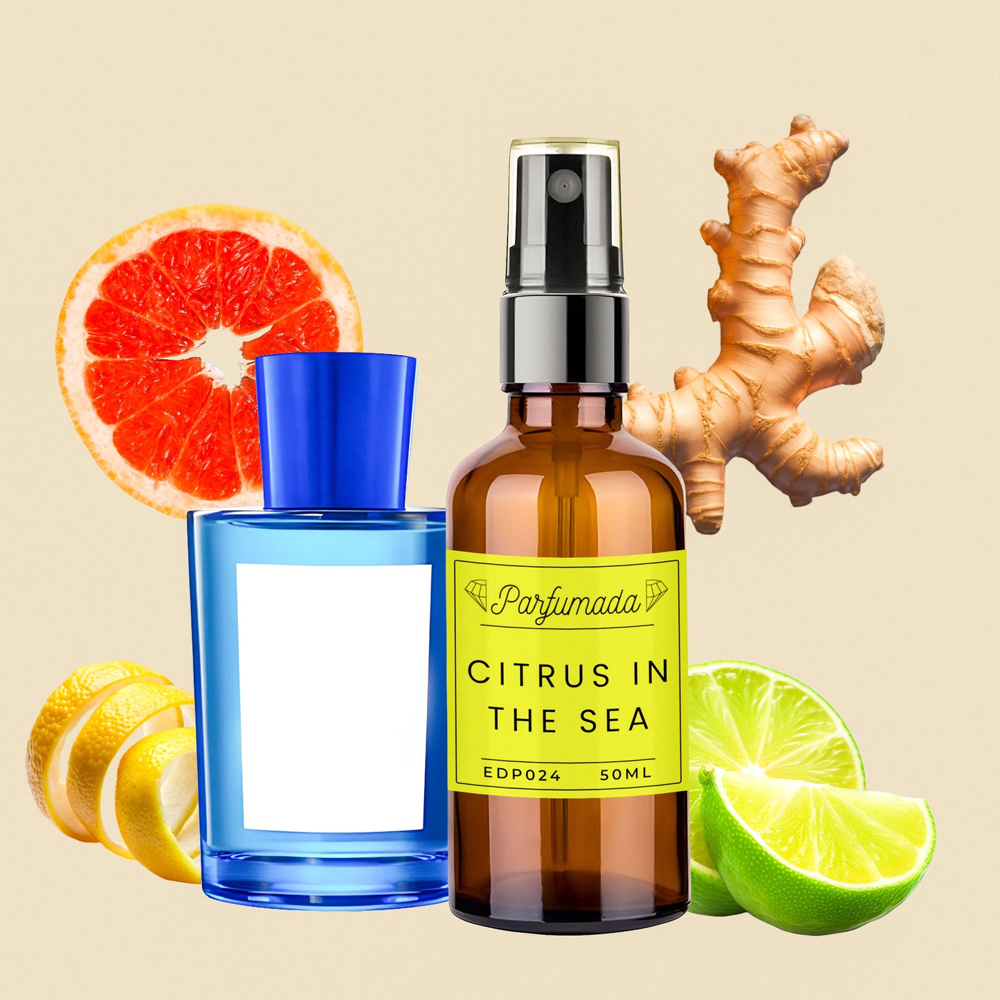 Citrus in the Sea Eau de Parfum inspired by Arancia Di Capri